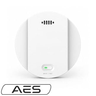 AES-Smoke